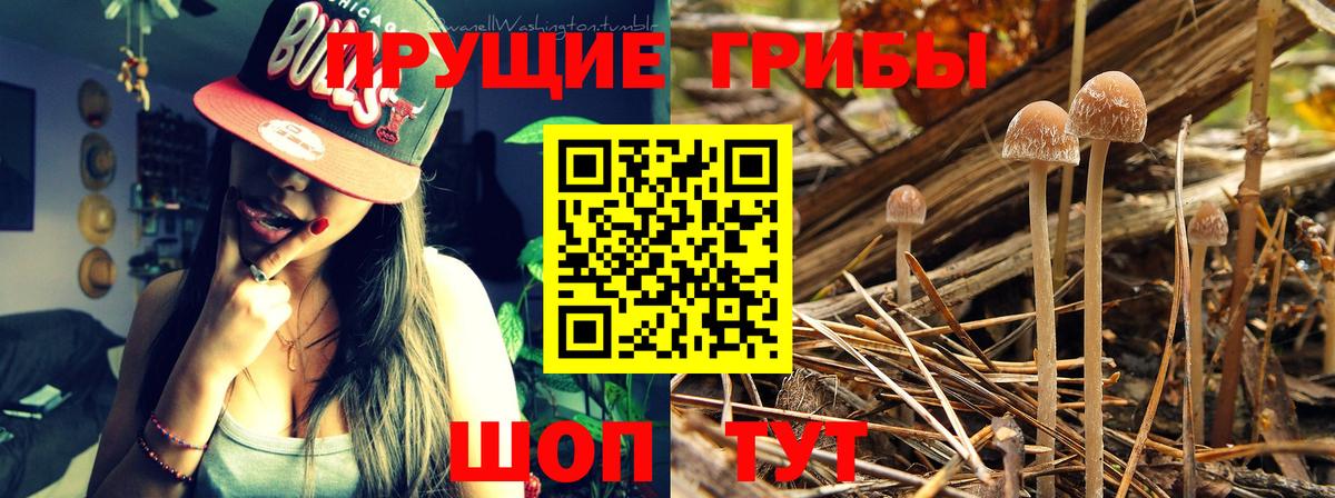 Псилоцибиновые грибы мухоморы  Вход с VPN  Котовск 